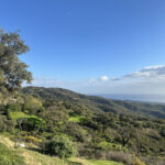 Plots for sale in La Mairena – R4856002 Plots for sale in La Mairena – R4856002