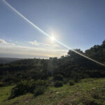 Plots for sale in La Mairena – R4856002 Plots for sale in La Mairena – R4856002