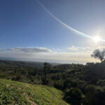 Plots for sale in La Mairena – R4856002 Plots for sale in La Mairena – R4856002