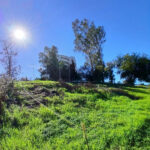 Plots for sale in Guadalmina Alta – R5250592 Plots for sale in Guadalmina Alta – R5250592