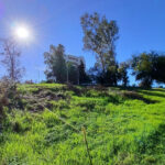 Plots for sale in Guadalmina Alta – R5250592 Plots for sale in Guadalmina Alta – R5250592