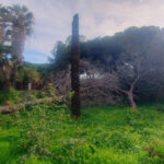 Plots for sale in Hacienda Las Chapas – R4802929 Plots for sale in Hacienda Las Chapas – R4802929