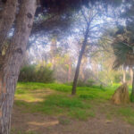 Plots for sale in Hacienda Las Chapas – R4802929 Plots for sale in Hacienda Las Chapas – R4802929