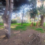 Plots for sale in Hacienda Las Chapas – R4802929 Plots for sale in Hacienda Las Chapas – R4802929