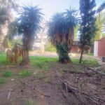 Plots for sale in Hacienda Las Chapas – R4802929 Plots for sale in Hacienda Las Chapas – R4802929