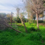 Plots for sale in Hacienda Las Chapas – R4802929 Plots for sale in Hacienda Las Chapas – R4802929