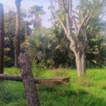 Plots for sale in Hacienda Las Chapas – R4802929 Plots for sale in Hacienda Las Chapas – R4802929