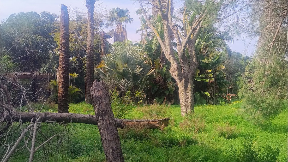 Plots for sale in Hacienda Las Chapas – R4802929 Plots for sale in Hacienda Las Chapas – R4802929