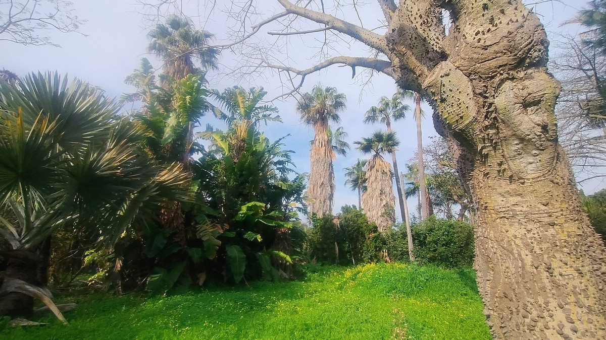 Plots for sale in Hacienda Las Chapas – R4802929 Plots for sale in Hacienda Las Chapas – R4802929