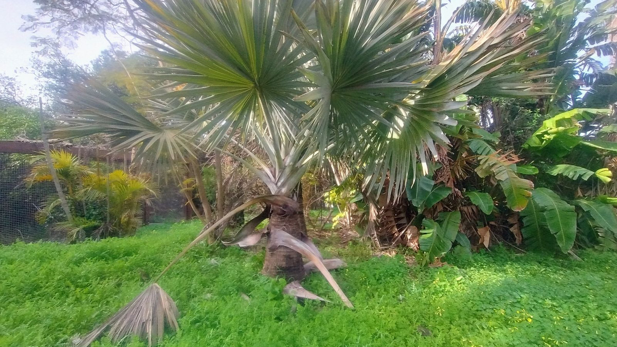 Plots for sale in Hacienda Las Chapas – R4802929 Plots for sale in Hacienda Las Chapas – R4802929