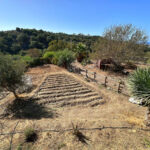 Parcelas en venta en Cabopino – R4968403 Parcelas en venta en Cabopino – R4968403