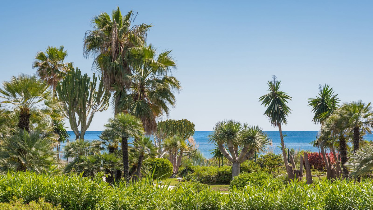 3 bedroom Apartments for sale in Atalaya – R5311477 3 bedroom Apartments for sale in Atalaya – R5311477